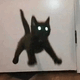一只飞起来的黑猫眼闪绿光，吓到飞起表情包