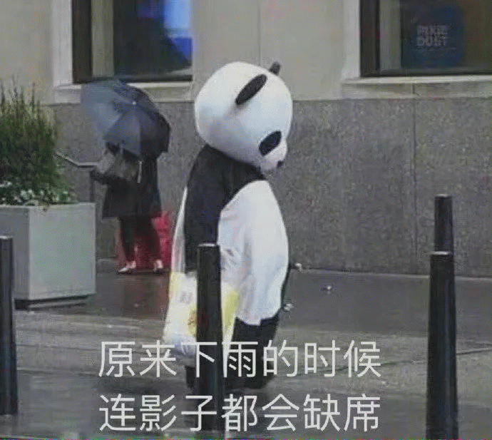 熊猫原来下雨的时候 连影子都会缺席表情包