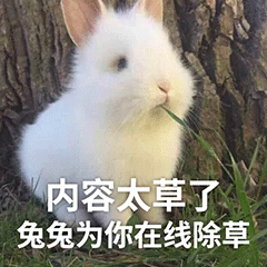 小兔子内容太草了 兔兔为你在线除草表情包