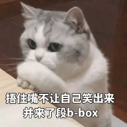 小猫咪捂佳嘴不让自己笑出来 来了段b-box表情包