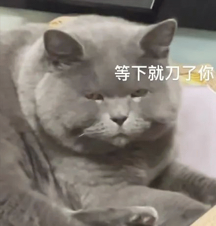 小猫咪等下就刀子你表情包