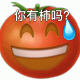 西红柿 你有柿吗表情包