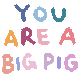 YOU ARE A BIG PIG