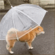 柴犬下雨给我打伞表情包