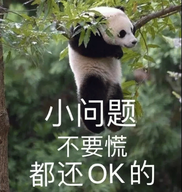 熊猫表情包 小问题 不要慌 都还OK的