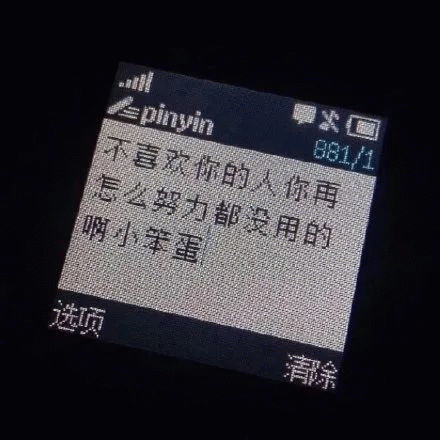 诺基亚屏幕表情包 不喜欢你的人 你再怎么努力都没用的啊 小笨蛋