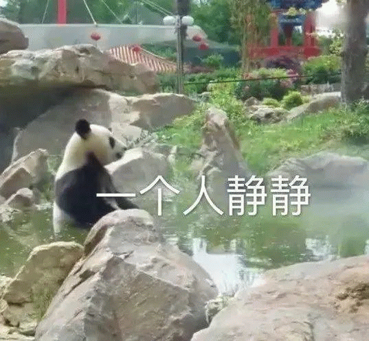 熊猫表情包 一个人静静 让我一个人静静 独自安静表情包