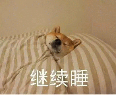 柴犬躺在床上被窝中睡觉 继续睡 狗狗睡觉 赖床不起表情包 不想起床表情包