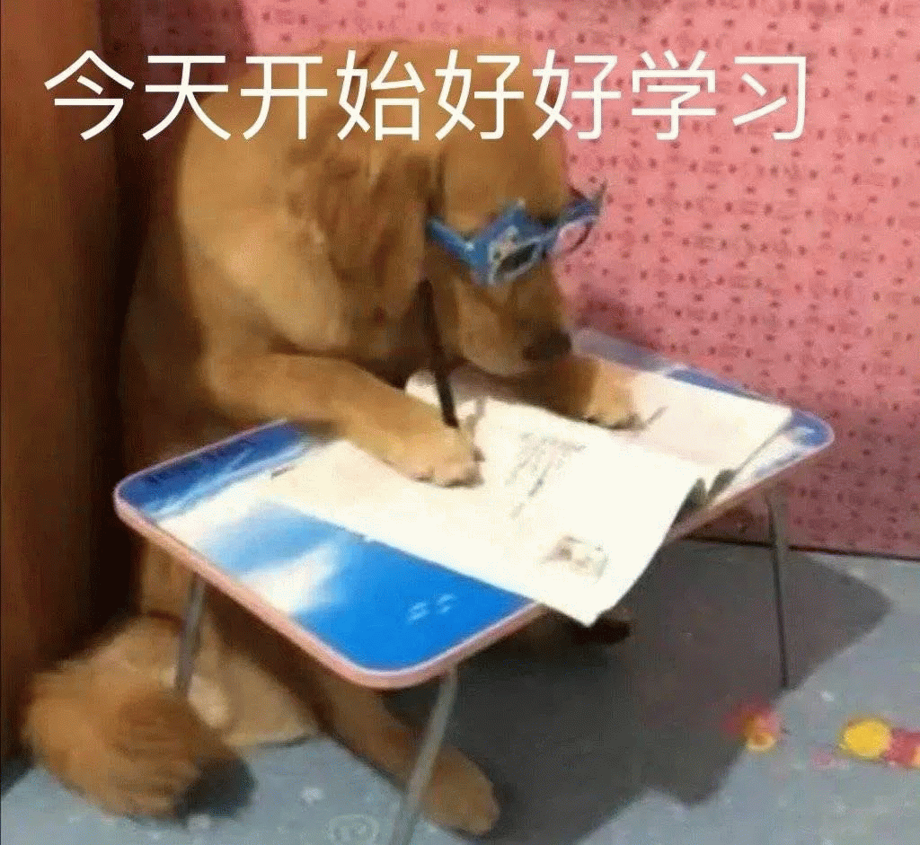 狗狗戴眼镜看书学习 狗狗今天开始好好学习 狗狗看书 狗狗戴眼镜 发奋图强今天开始好好学习