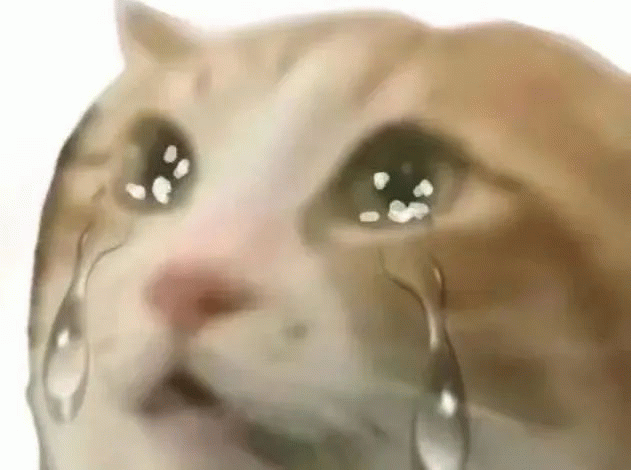猫咪哭泣