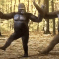 黑猩猩跳舞
