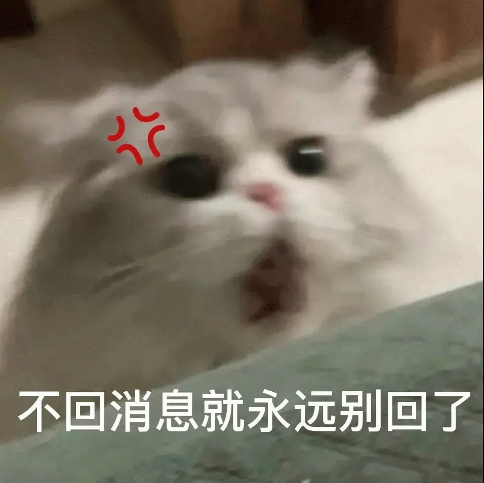 不回消息就永远别回了 猫咪表情愤怒带文字“不回消息就永远别回了”,可爱又霸气表情包图片gif动图 - 求表情网,斗图从此不求人!