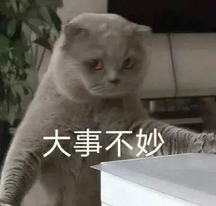 大事不妙 灰猫表情严肃伸出爪子,配文“大事不妙”,尽显紧张氛围表情包图片gif动图 - 求表情网,斗图从此不求人!