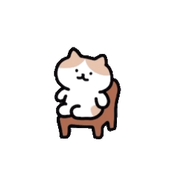 棕白猫咪坐在凳子上