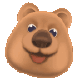 棕色熊熊头