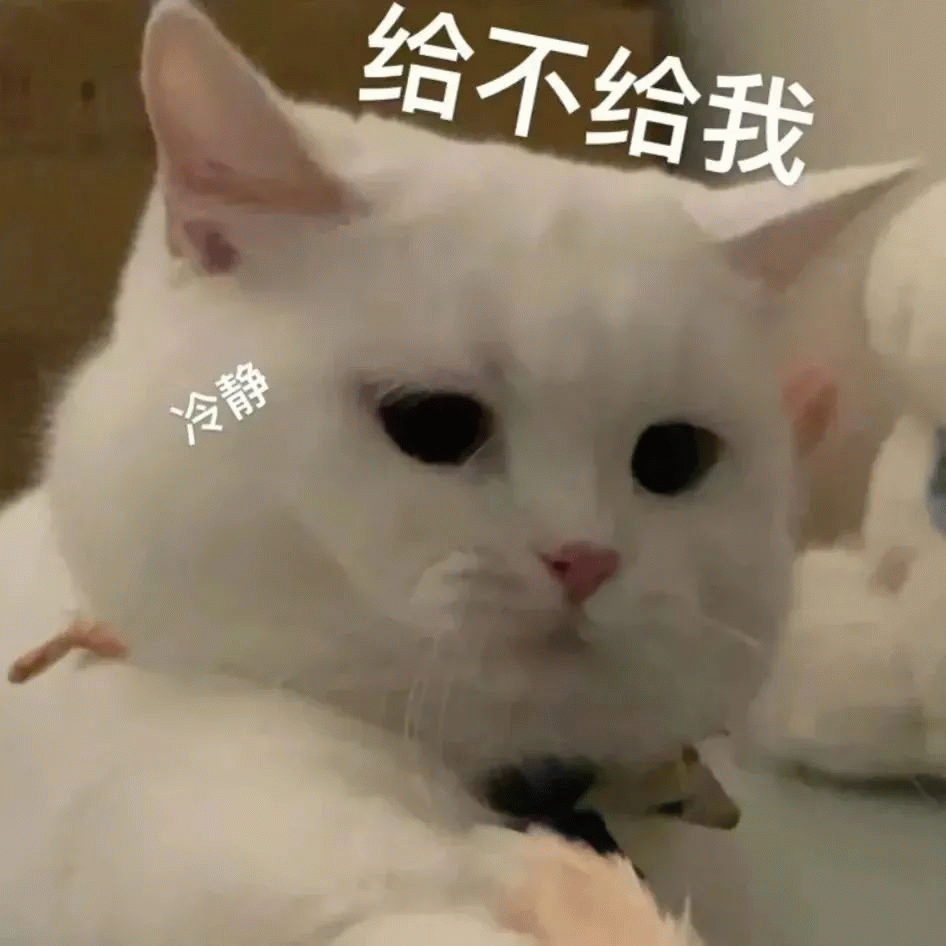 给不给我 猫咪 可爱猫咪配文“给不给我”,脸上写着“冷静”,表情超萌表情包图片gif动图 - 求表情网,斗图从此不求人!