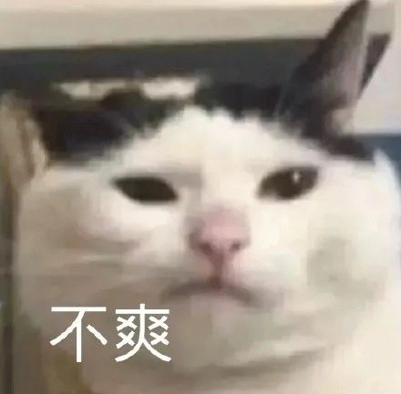 猫咪 猫咪无语苦涩，不爽