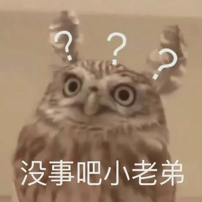 神鹰哥表情包表情包图片 - 求表情网,斗图从此不求人!