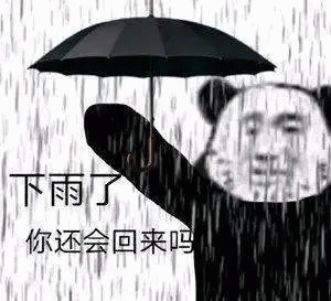 熊猫人 熊猫人雨天emo撑伞难过回忆，下雨了 你还会回来吗