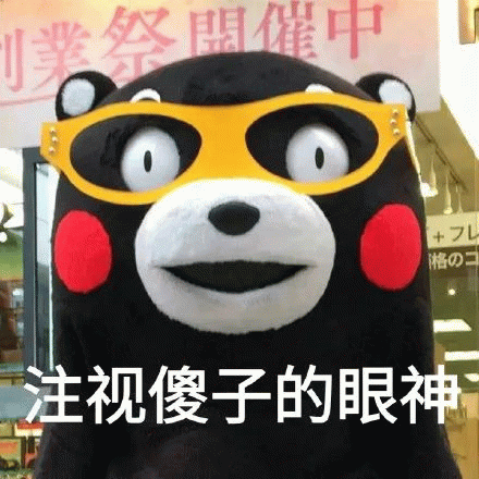 熊本熊戴眼镜：注视傻子的眼神