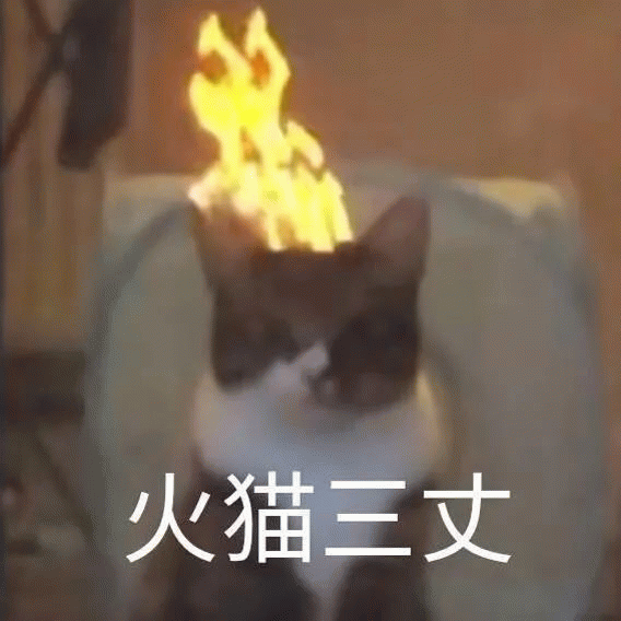 小猫冒火：火猫三丈