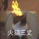 小猫冒火：火猫三丈