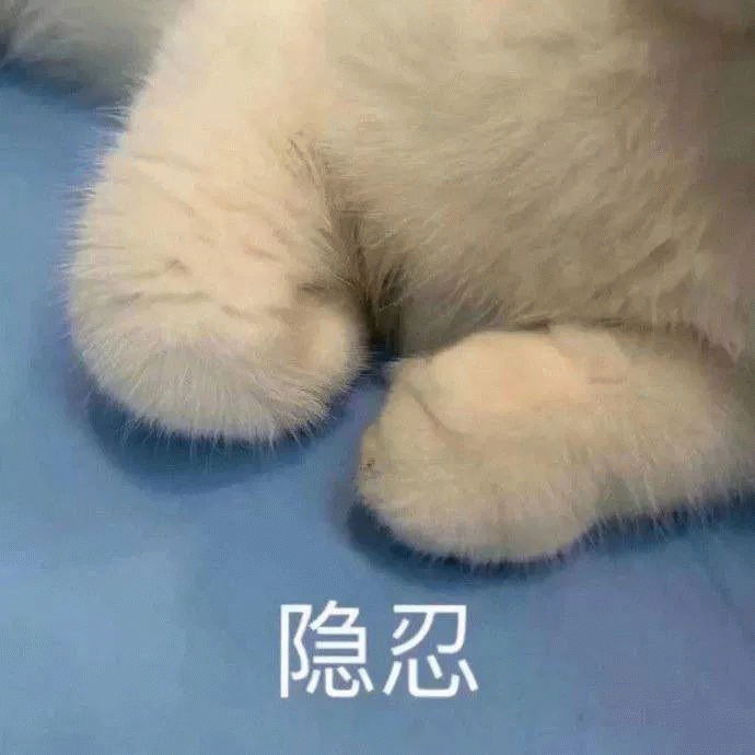 猫咪握拳：隐忍