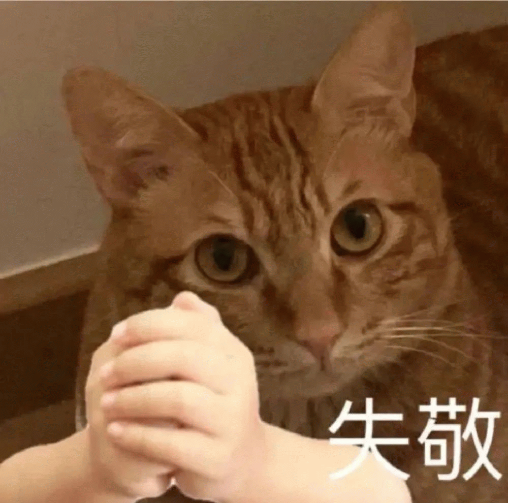 猫咪抱拳：失敬
