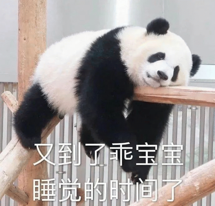 熊猫：又到了乖宝睡觉的时间了