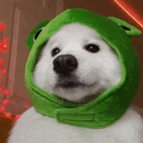 小狗带着绿色的帽子打哈欠
