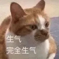 小猫咪 生气 完全生气