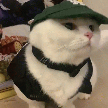 可爱猫咪帽子斗篷