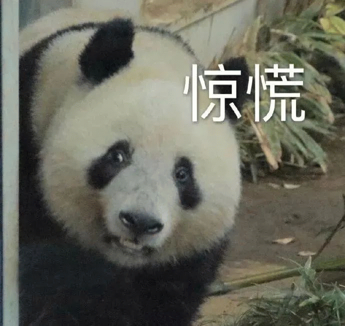 熊猫惊慌