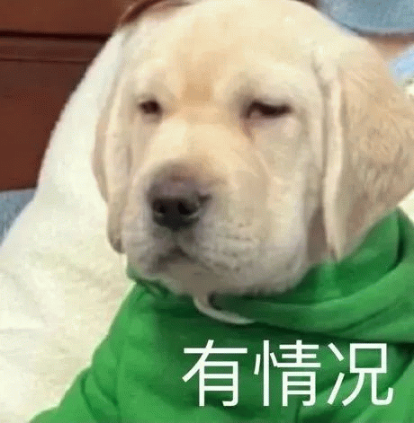 狗眼一眯:有情况表情包图片gif动图 - 求表情网,斗图从此不求人!