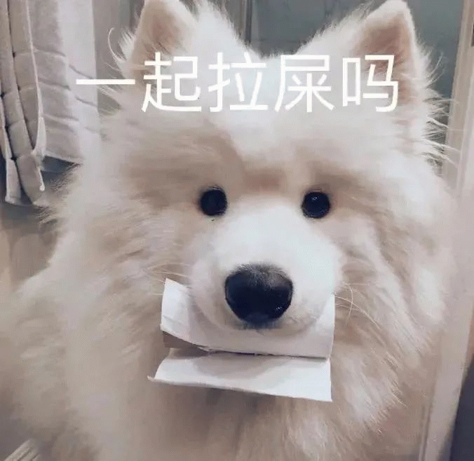 小狗叼纸：一起拉屎吗