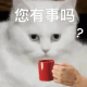 猫咪喝茶：您有事吗？