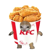摇摆走路流泪KFC猫咪