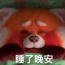 《青春变形记》红熊猫 红熊猫安静睡觉，打呼，睡了晚安