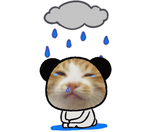 猫咪 猫咪在雨里苦涩淋雨流泪