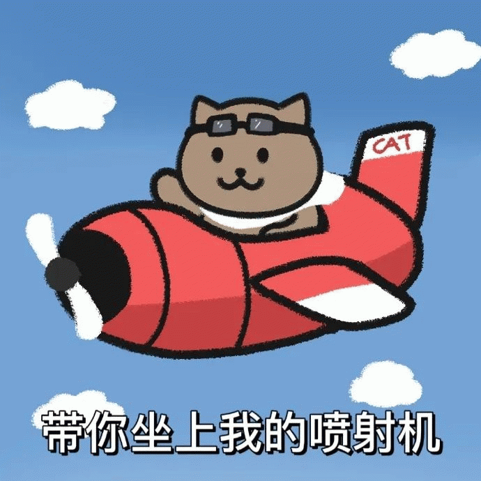 一猫人 棕色猫咪 棕色猫咪开心开飞机，CAT 带你坐上我的喷射机