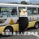 大熊猫 大熊猫上车被卡在了车门口，进退两难，生活总是让人进退两难