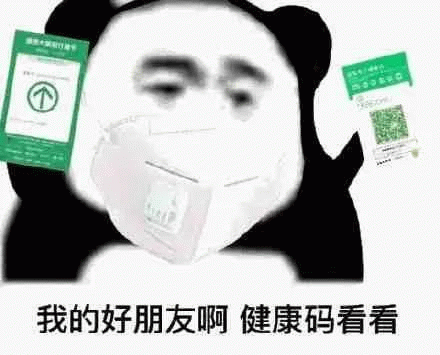 熊猫头戴口罩拿着行程码和健康绿码：我的好朋友啊健康码看看