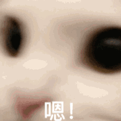 可爱猫咪近距离表情：嗯！ 可爱萌宠眨着大眼睛，嘴巴微嘟，配文“嗯！”超萌超可爱