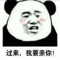 脸红熊猫头：过来，我要亲你！
