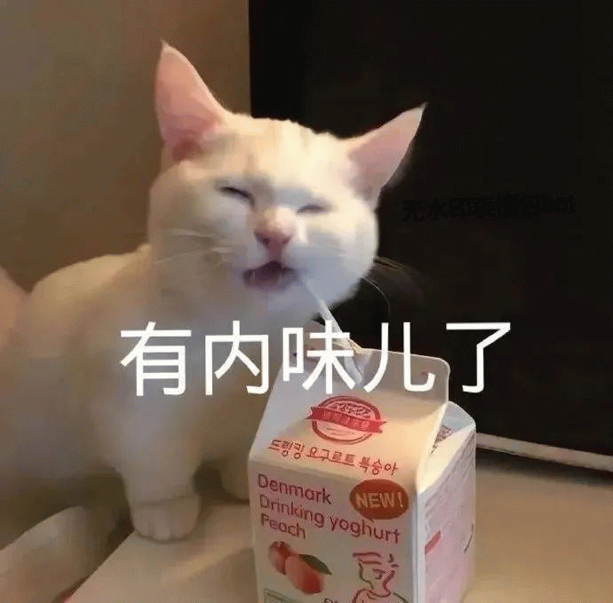 猫咪 猫咪神情享受喝酸奶