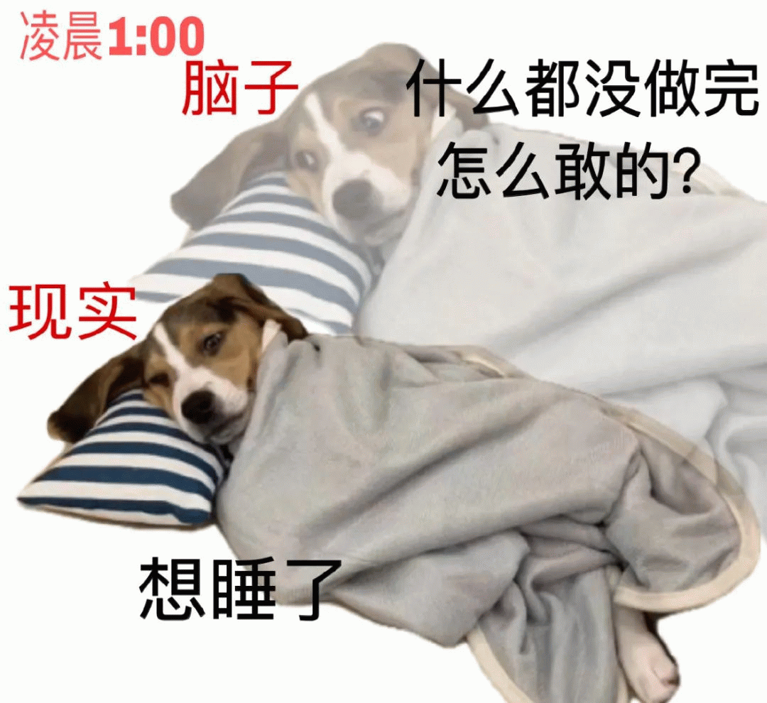 狗狗 狗狗想睡觉凌晨1：0 脑子 什么都没做完 怎么敢的？ 现实 想睡了