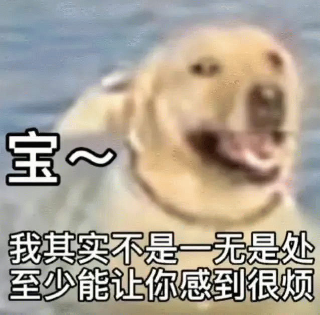 狗狗 狗狗无奈憨笑,宝 我其实不是一无是处 至少能让你感到很烦 可爱狗狗表情包,配文“宝~我其实不是一无是处至少能让你感到很烦”表情包图片 ...