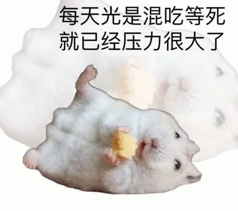 小老鼠 小老鼠躺着吃东西，压力很大，每天光是混吃等死 就已经压力很大了