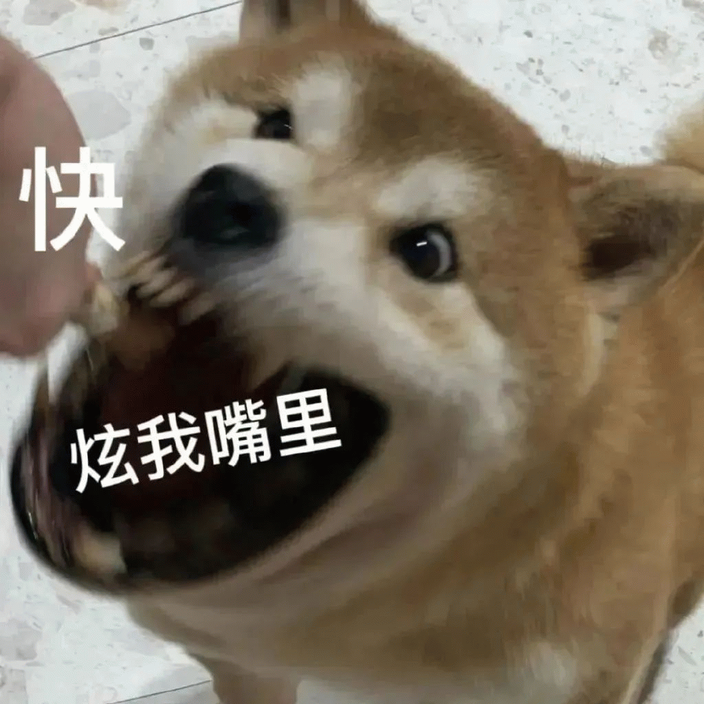 在微博分享了一组拿火腿肠喂流浪狗的照片……__财经头条