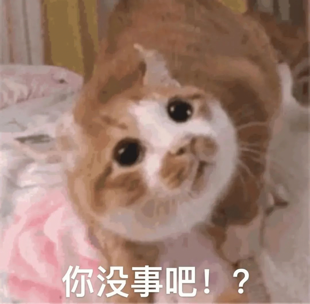 猫咪猫咪惊讶好奇凝视，你没事吧！？